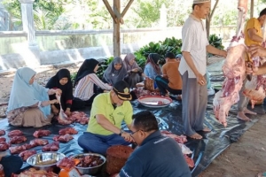 Kankemenag Aceh Tamiang Sembelih 4 Lembu 3 Kambing